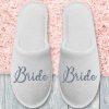 PAPUCI MIREASA BRIDE ARGINTIU 1