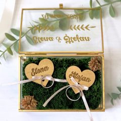 CASETA CU LICHENI NUME SI DATA 2