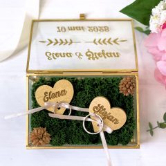 CASETA CU LICHENI NUME SI DATA 3