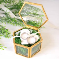 CUTIE VERIGHETE STICLA SI LICHENI HEXAGON 1