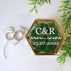 CUTIE VERIGHETE STICLA SI LICHENI HEXAGON 2 1