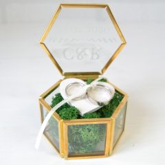 CUTIE VERIGHETE STICLA SI LICHENI HEXAGON 4 1