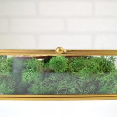 CASETA VERIGHETE STICLA SI LICHENI DREPTUNGHIULARA CE DUMNEZEU A UNIT 4