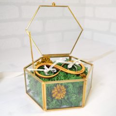 CUTIE VERIGHETE STICLA SI LICHENI VERZI HEXAGONALA MARE INFINIT 2