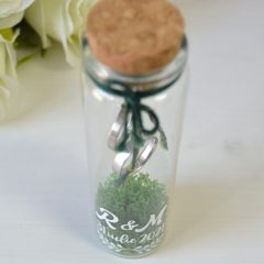 STICLUTA VERIGHETE CU LICHENI 3