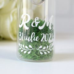 STICLUTA VERIGHETE CU LICHENI 4