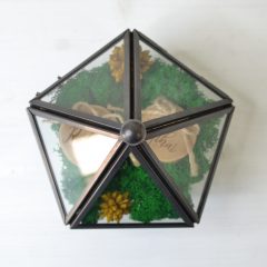 CASETA VERIGHETE STICLA METAL NEGRU SI LICHENI 5