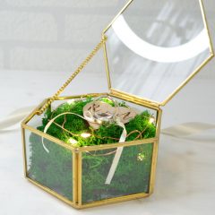 CUTIE VERIGHETE CU LEDURI 2