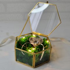 CUTIE VERIGHETE CU LEDURI 3