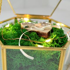 CUTIE VERIGHETE CU LEDURI 4