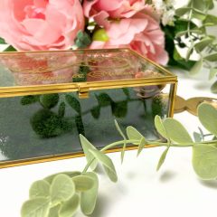 CASETA VERIGHETE DE ASTAZI PENTRU TOTDEAUNA 3