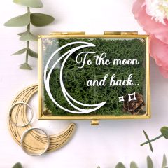 CASETA VERIGHETE TO THE MOON AND BACK