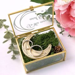 CASETA VERIGHETE TO THE MOON AND BACK