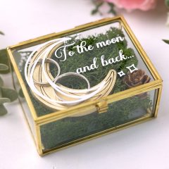 CASETA VERIGHETE TO THE MOON AND BACK