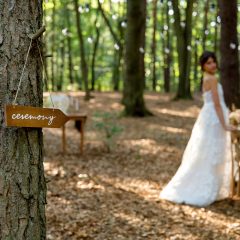 PLACUTA LEMN INDICATOR CEREMONIE