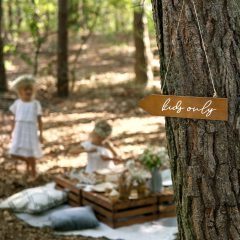 PLACUTA LEMN INDICATOR ZONA COPIILOR