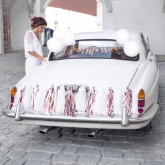 SET DECORATIUNI MASINA ROSE GOLD